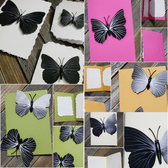 Meet Kayla Ellise - Picture 5 of 16